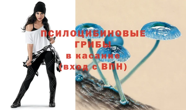 марки nbome Дмитриев
