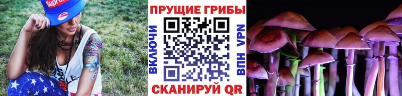 Псилоцибиновые грибы прущие грибы  Купить  Калининск 